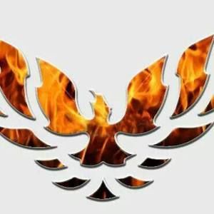 Meet your Posher, Larry